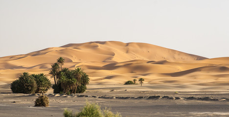 Erg Chebbi in Morocco