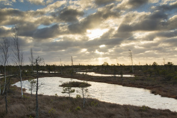 Obraz premium sunrise at swamp with lakes