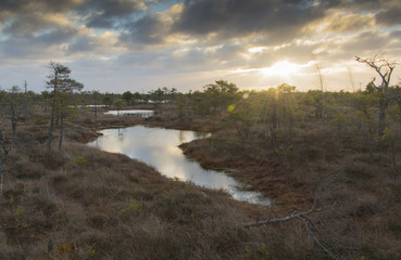 sunrise at swamp