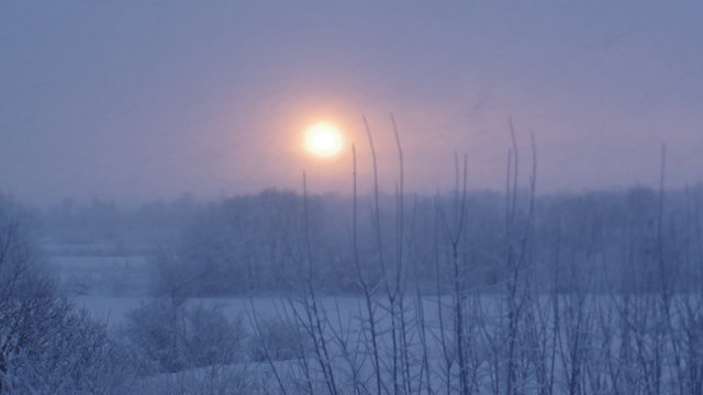 
snowfall .Winter landscape.Winter beauty scene.