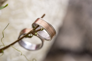 Closeup of bride and groom wedding rings hanging from a twig