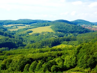 Forests and meadows