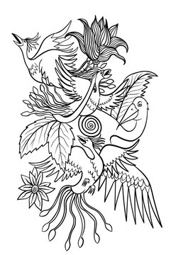 sketch vector images of birds