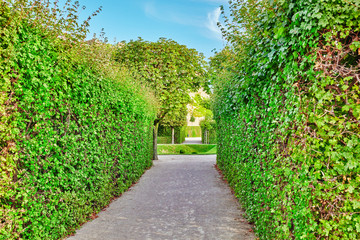 Area of the park-garden complex Belvedere.Vienna. Austria.