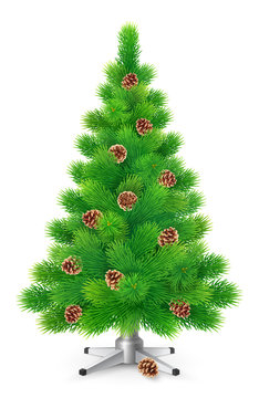Green fluffy Christmas tree with cones, isolated on white background, vector illustration