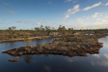 swamp lake with wooden footbridge
