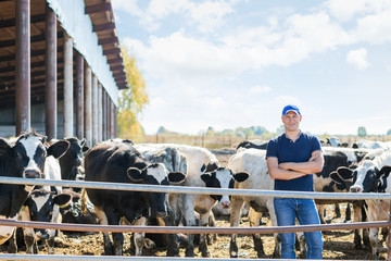 Farmer is working on farm with dairy cows © JENOCHE