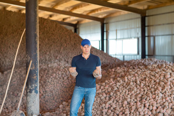 Fototapeta premium Farmer showing freshly potatoes 