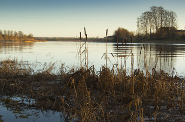 sunset at river with cattails