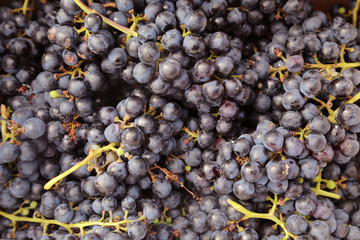 Raisins