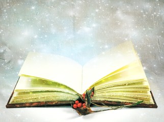 Open book with stars and red wild berries