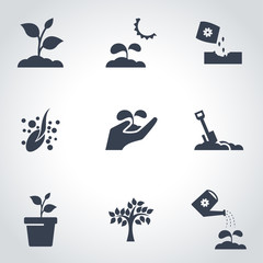 Vector black growing icon set