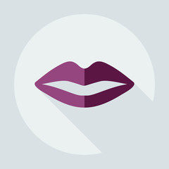 Flat modern design with shadow icons lip
