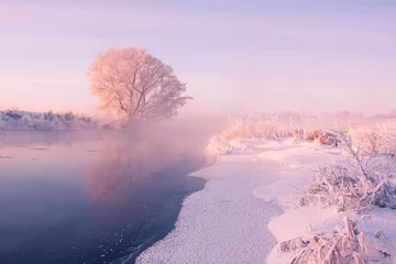 Photo sur Plexiglas Violet Lever du soleil d& 39 hiver brumeux