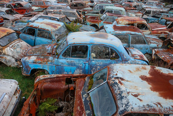 Several abandoned cars at car cemetery in New Zealand