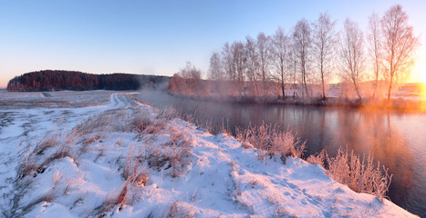 The winter sun illuminates frosty trees
