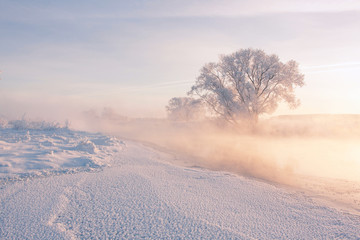 Winter sunlight illuminates frosty tree and frozen river