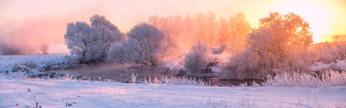 The sun shines on frosty winter trees