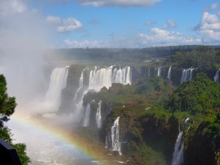 Fototapeta premium ブラジル側のイグアスの滝