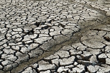 cracked soil in country Thailand