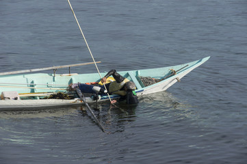 北海道　利尻島のウニ漁