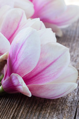 Fototapeta na wymiar magnolia flowers with pearls on wooden table