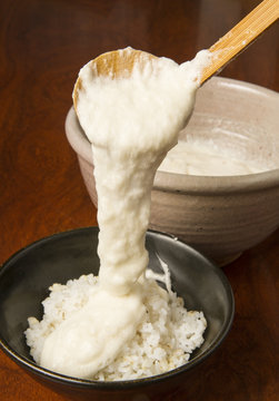 とろろ　御飯