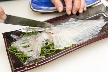 呼子のイカ　活き造り