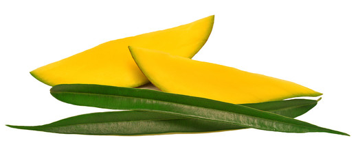 Fototapeta na wymiar Sliced mango with leaf