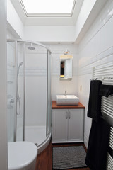petite salle de bain avec cabine de douche