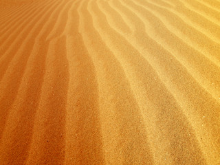 Sand dunes in the Al Ain desert