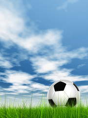 Conceptual 3D soccer ball in field grass with a  sky background