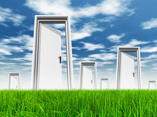 White door in grass with sky background