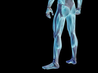 Obraz premium Conceptual human body anatomy on black