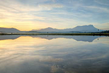 Reflection of Mount Kinabalu on the paddy fields at Kota Belud. Sabah. 