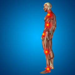 3D human man pain anatomy on blue background