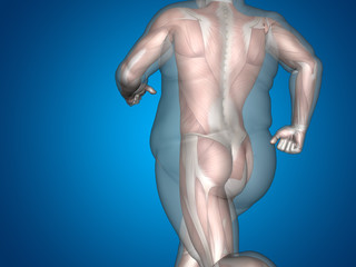 Obraz premium Human man fat and slim concept on blue