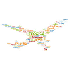 Fototapeta na wymiar Concept or conceptual colorful plane silhouette travel tourism text word cloud