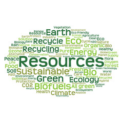 Conceptual ecology word cloud isolated