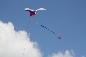kite flying in the wind