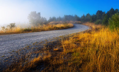 Fototapeta na wymiar road in misty morning