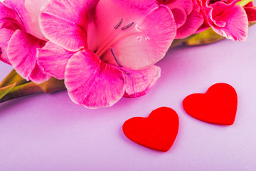 Obraz premium gladiolus and heart on a wooden background. Love concept background