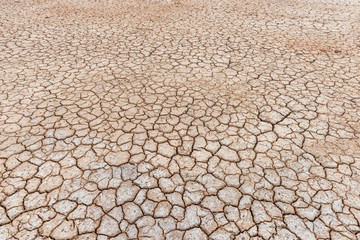 crack ground in dry season