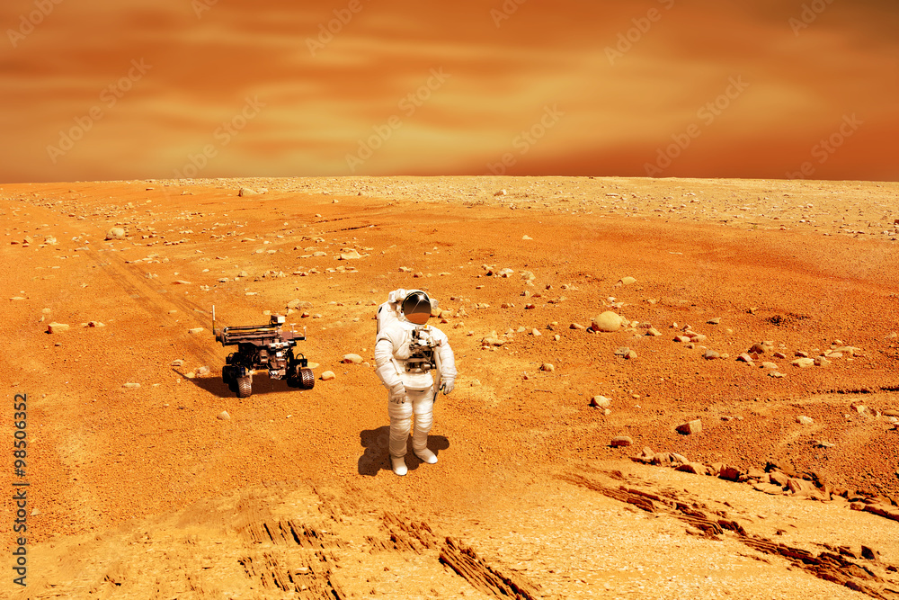 Canvas Prints martian explorer no.1h - elements of this image furnished by nasa