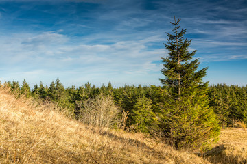 Th&uuml;ringer Wald - Oberhof - Schneekopf
