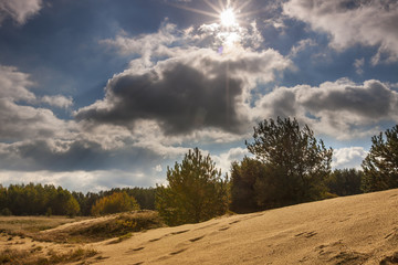 jesień na Podlasiu © Janusz Lipiński