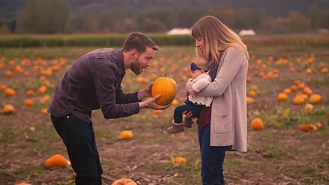A man showing a pumpkin to his baby girl at the pumpkin patch as her mother holds her