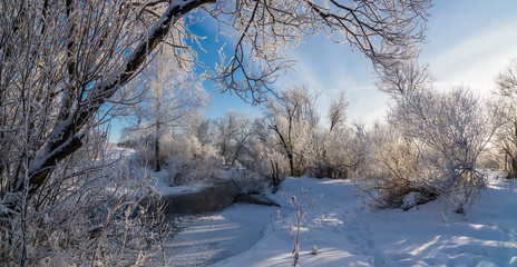 зимняя панорама морозным днем возле ручья с деревьями в снегу, Россия, Урал   