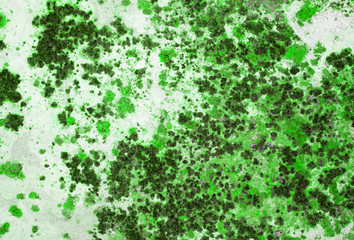 Designed grunge paper texture