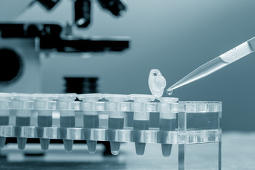 Workbench blood bank laboratory with a microscope and tubes with